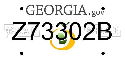 Z73302B Georgia License Plate
