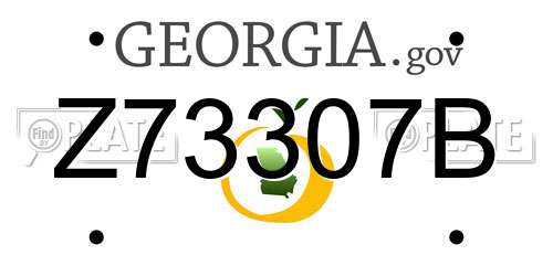 Z73307B Georgia License Plate