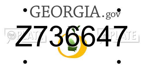 Z736647 Georgia License Plate