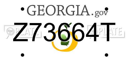 Z73664T Georgia License Plate