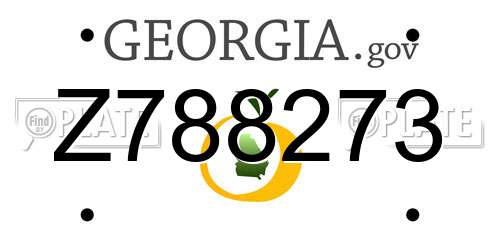 Z788273 Georgia License Plate