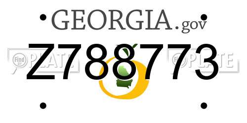 Z788773 Georgia License Plate
