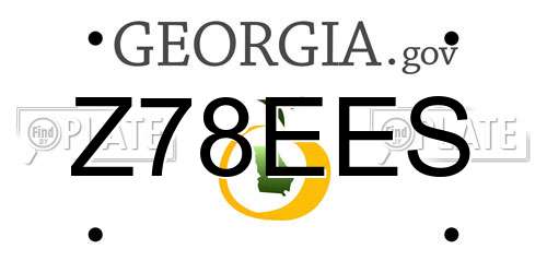 Z78EES Georgia License Plate