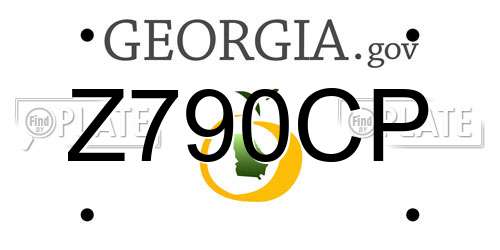 Z790CP Georgia License Plate