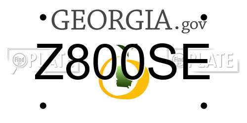 Z800SE Georgia License Plate