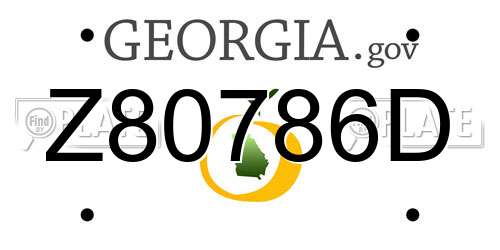 Z80786D Georgia License Plate