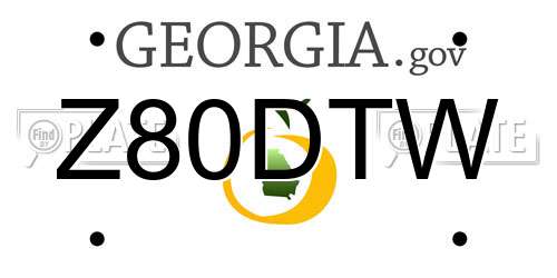 Z80DTW Georgia License Plate