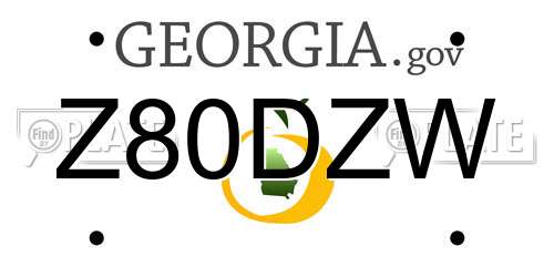 Z80DZW Georgia License Plate