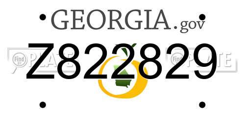 Z822829 Georgia License Plate