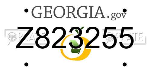 Z823255 Georgia License Plate
