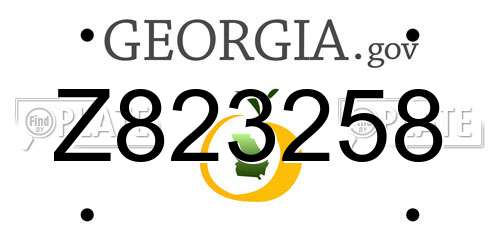 Z823258 Georgia License Plate
