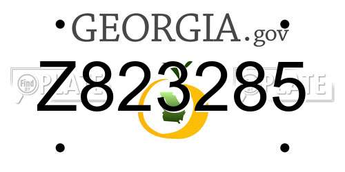 Z823285 Georgia License Plate