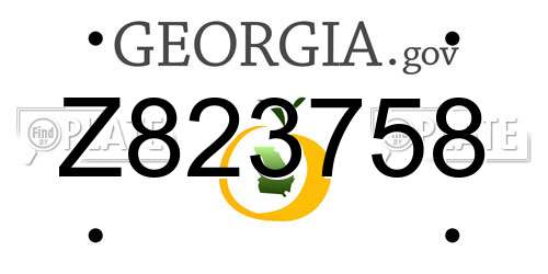 Z823758 Georgia License Plate