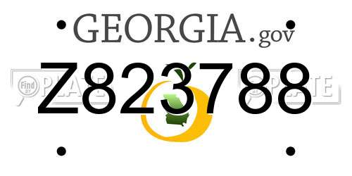 Z823788 Georgia License Plate