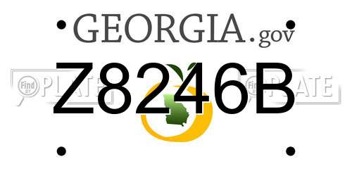 Z8246B Georgia License Plate