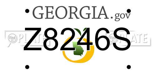 Z8246S Georgia License Plate