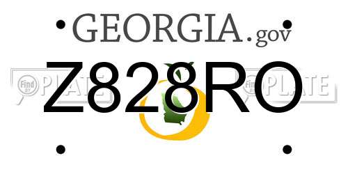 Z828RO Georgia License Plate