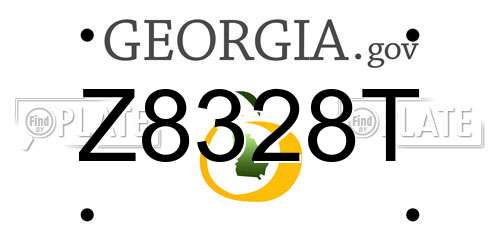 Z8328T Georgia License Plate