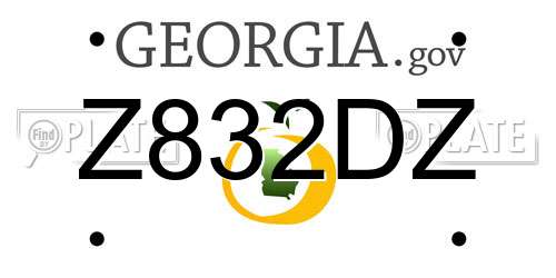 Z832DZ Georgia License Plate