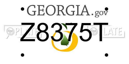 Z8375T Georgia License Plate
