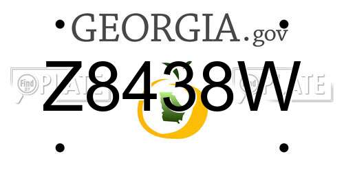 Z8438W Georgia License Plate