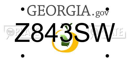 Z843SW Georgia License Plate