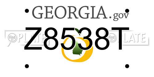Z8538T Georgia License Plate