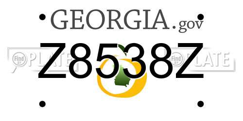 Z8538Z Georgia License Plate