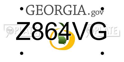 Z864VG Georgia License Plate