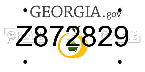 Z872829 Georgia License Plate