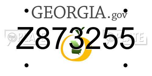 Z873255 Georgia License Plate
