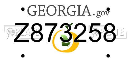 Z873258 Georgia License Plate