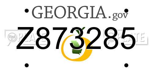 Z873285 Georgia License Plate
