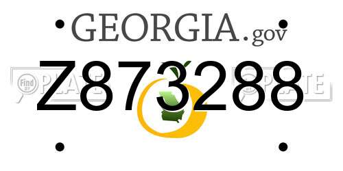 Z873288 Georgia License Plate