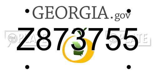 Z873755 Georgia License Plate