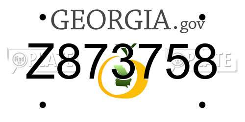Z873758 Georgia License Plate