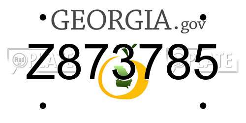 Z873785 Georgia License Plate