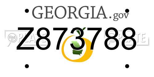 Z873788 Georgia License Plate