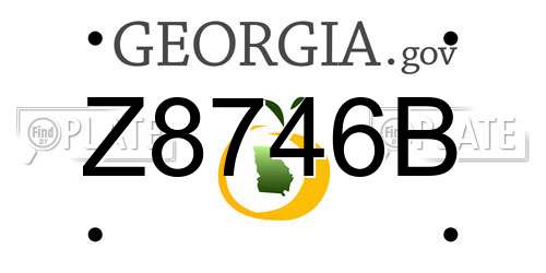 Z8746B Georgia License Plate
