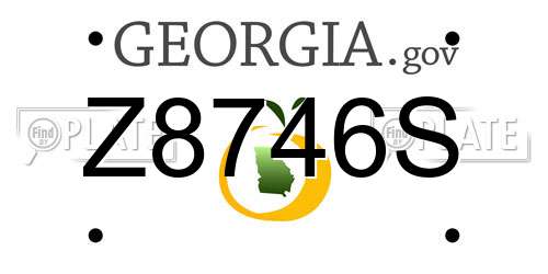 Z8746S Georgia License Plate