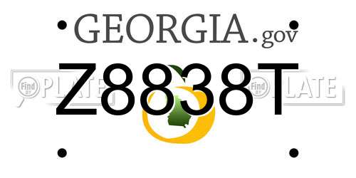 Z8838T Georgia License Plate