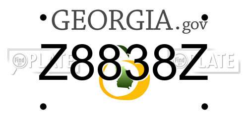 Z8838Z Georgia License Plate