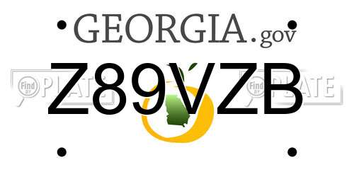 Z89VZB Georgia License Plate