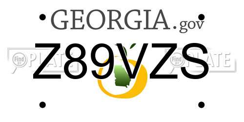 Z89VZS Georgia License Plate