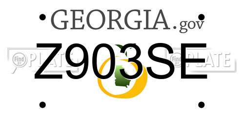Z903SE Georgia License Plate