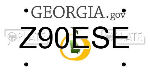 Z90ESE Georgia License Plate