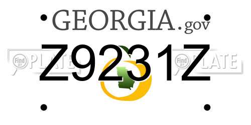 Z9231Z Georgia License Plate