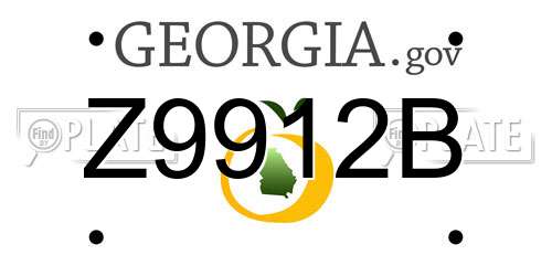 Z9912B Georgia License Plate