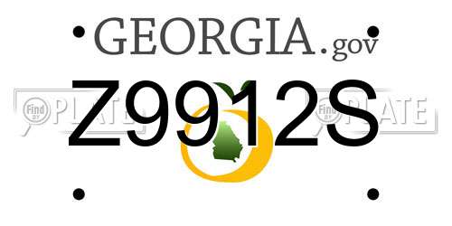 Z9912S Georgia License Plate