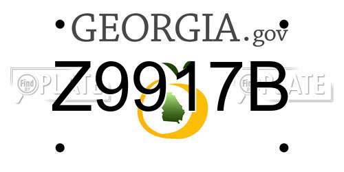 Z9917B Georgia License Plate